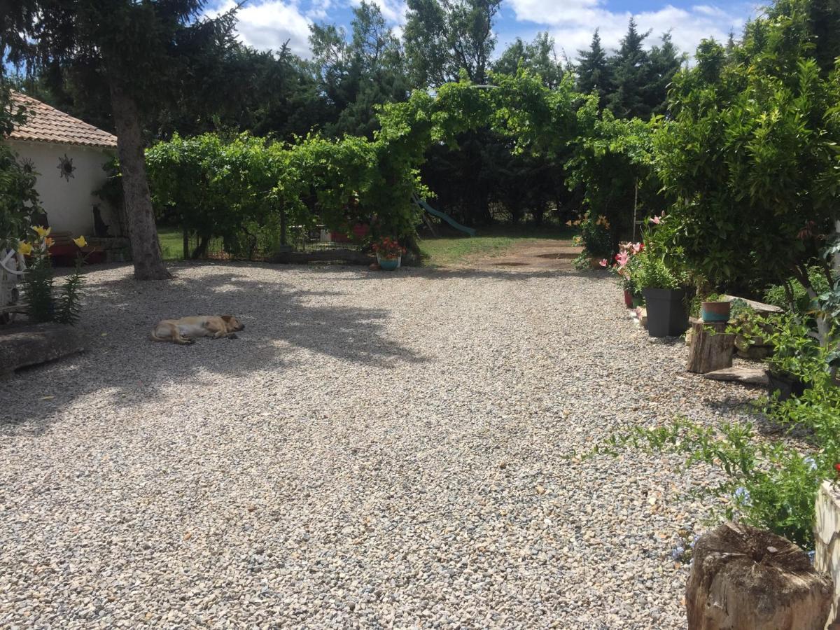 فندق Mazet Provencal سان جيل المظهر الخارجي الصورة