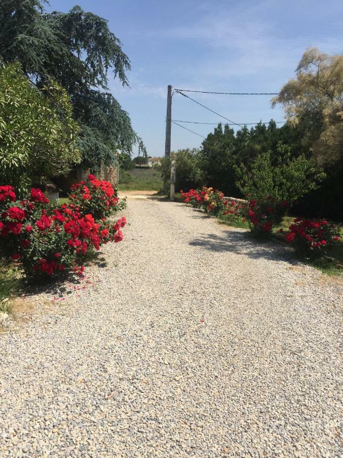 فندق Mazet Provencal سان جيل المظهر الخارجي الصورة
