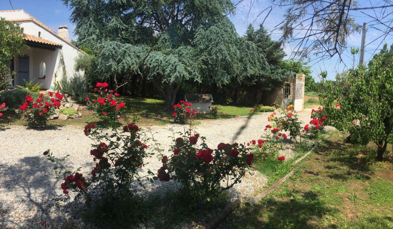 فندق Mazet Provencal سان جيل المظهر الخارجي الصورة
