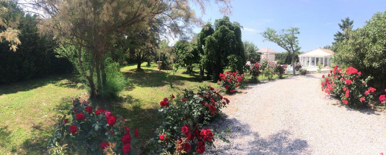 فندق Mazet Provencal سان جيل المظهر الخارجي الصورة