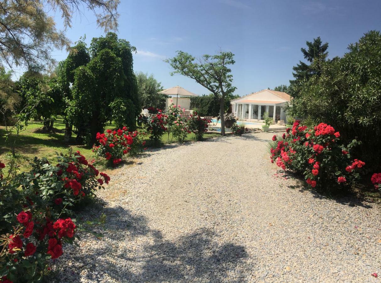 فندق Mazet Provencal سان جيل المظهر الخارجي الصورة